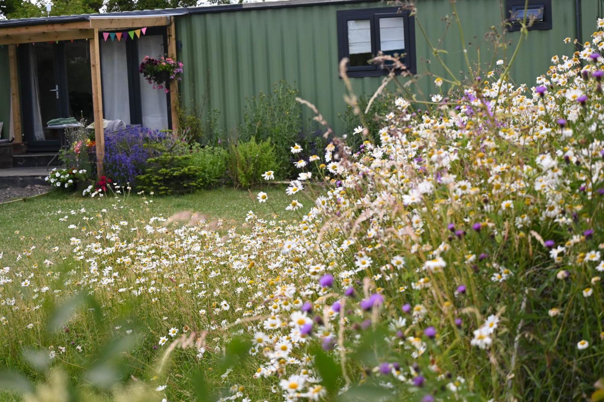 Sweet Pea Cabin Badsey Buitenkant foto