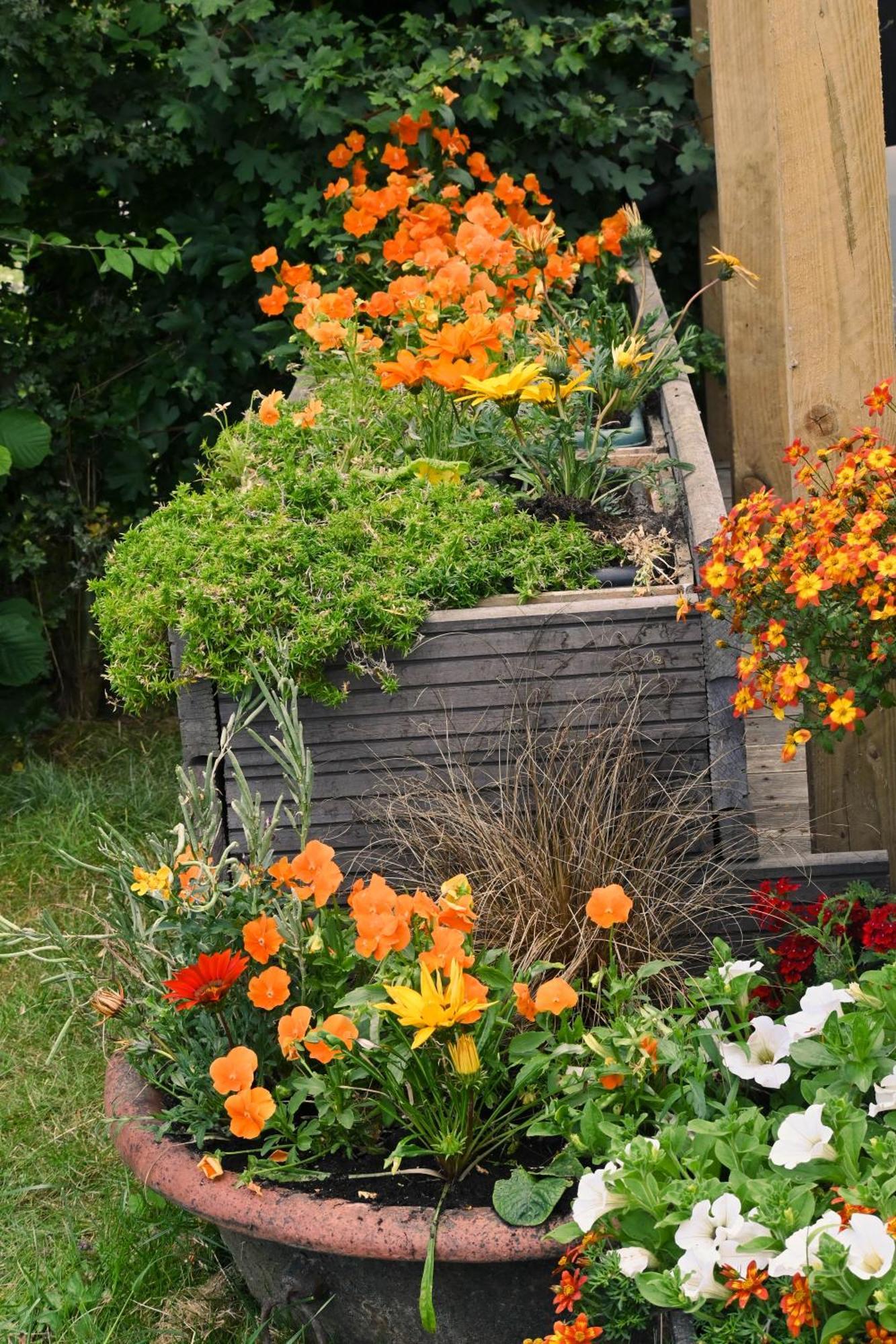Sweet Pea Cabin Badsey Buitenkant foto